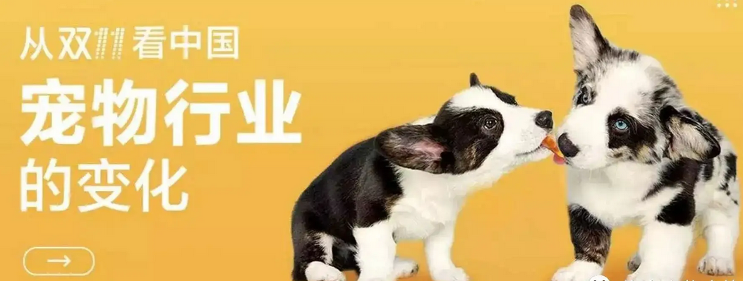  “它经济”强势崛起 双十一宠物品类销售爆发式增长 国内宠物市场已进入高速发展阶段