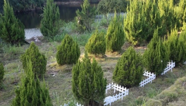 宠物殡葬业悄然兴起:给宠物一次体面的告别 宠物殡葬业悄然兴起:给宠物一次体面的告别