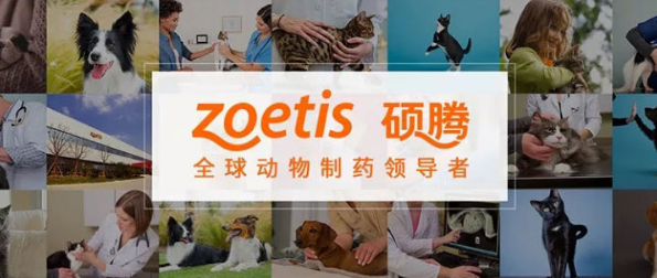 大宠爱生产商硕腾宣布收购宠物遗传科技领先公司Basepaws