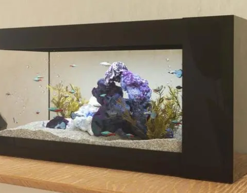 流行的鱼缸造景:水陆缸、水草缸如何DIY制作 流行的鱼缸造景:水陆缸、水草缸如何DIY制作