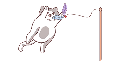 国庆长假，猫咪寄养还是带回家？猫咪居家留守攻略