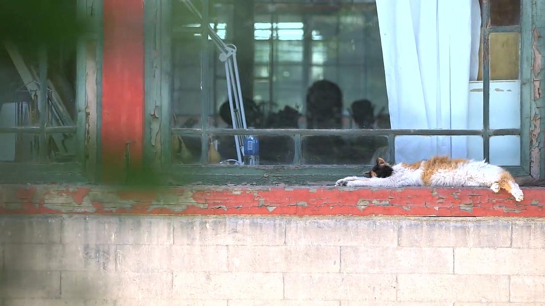 我在故宫修文物
(2016)的剧照 我在故宫修文物
(2016)的剧照