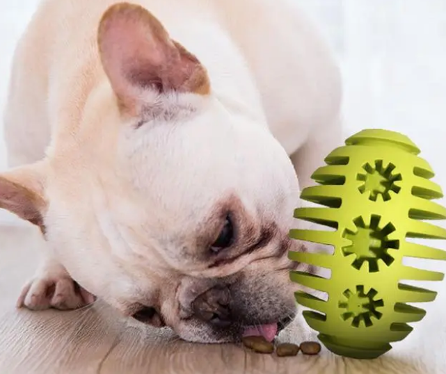 亲宠小知识——宠物玩具分类