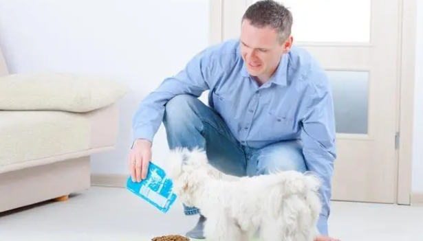 狗狗吃“微量元素”的好处,每周喂几次? 狗狗吃“微量元素”的好处,每周喂几次?