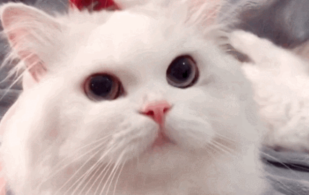 一定要在特殊情况下才能吃营养膏吗？