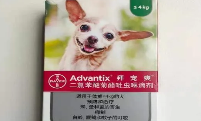 划重点：狗狗体外驱虫药哪种好，拜宠爽实力强劲