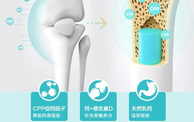 狗狗钙片竟有这么大的作用
