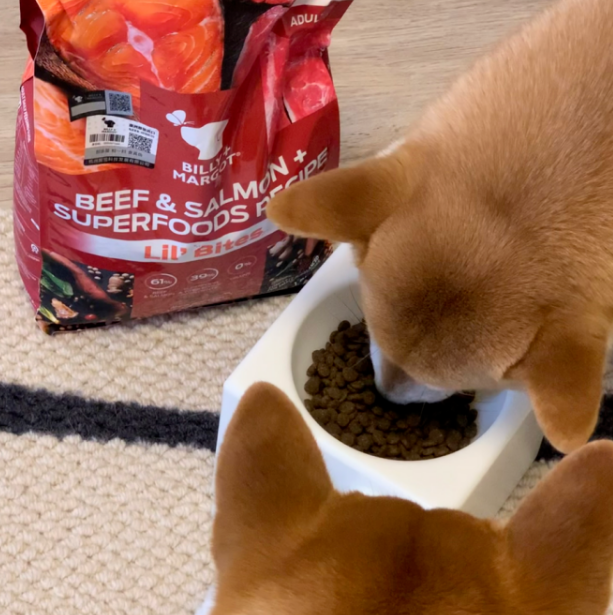 选择比利玛格 高品质狗粮更健康