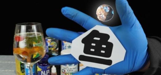 如何判断鱼缸水质好还是不好？肉眼判断不靠谱，科学养鱼有套路