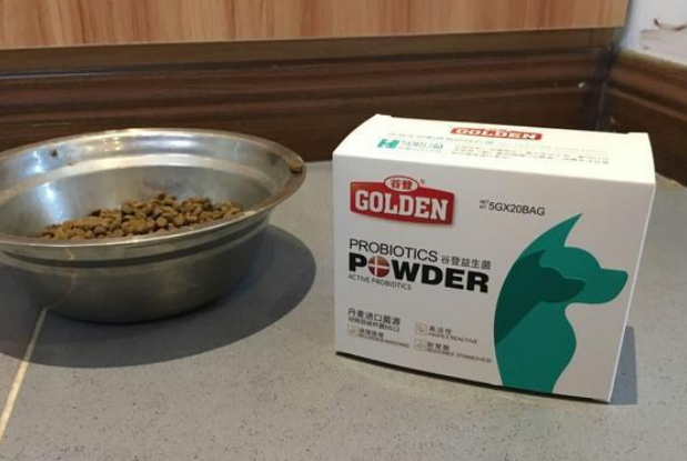 狗狗益生菌的作用和副作用,宠物益生菌可以长期吃吗 狗狗益生菌的作用和副作用,宠物益生菌可以长期吃吗