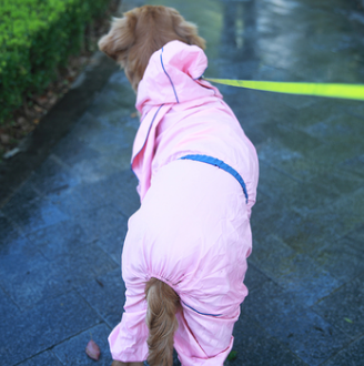 德丰Dog's life，一个给你众多惊喜的宠物用品品牌