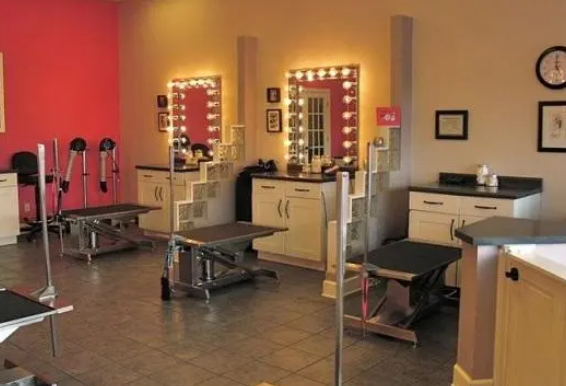 加盟个宠物美容店多少钱 加盟个宠物美容店多少钱