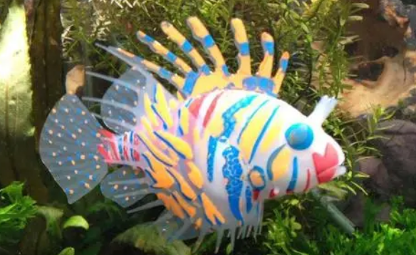 硝化菌加在鱼缸里还是过滤棉上？