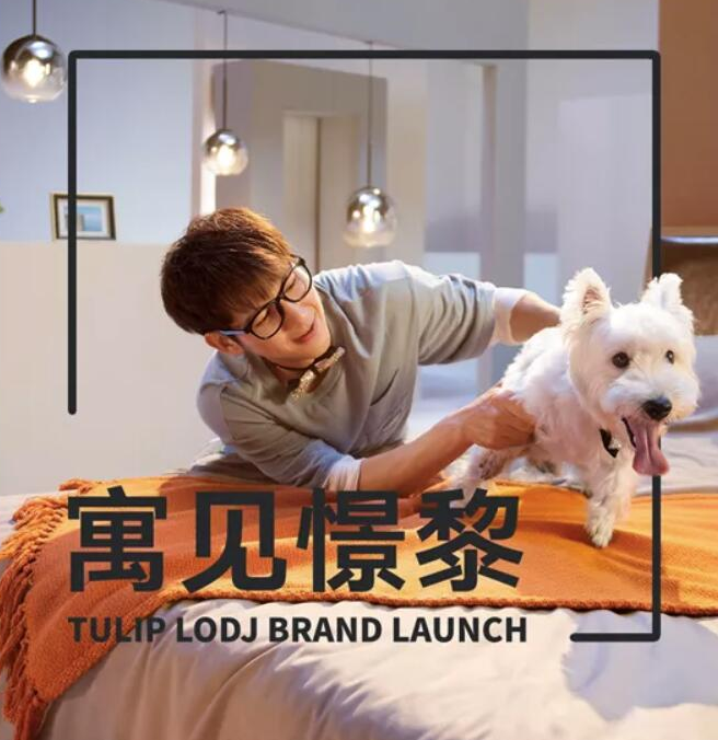 FOFOS两只福狸X憬黎联合打造首个宠物友好公寓