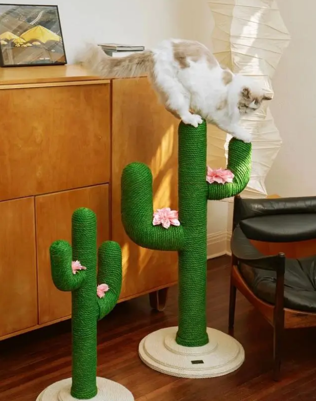 「未卡」创始人Donald Kng：“以人为本”，屹立宠物时尚潮头