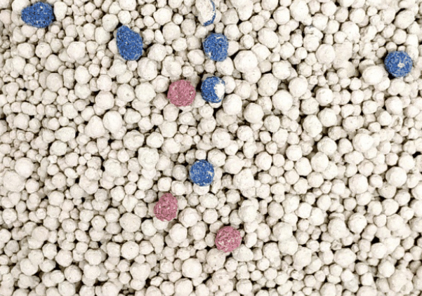 猫砂的分类及选用指南