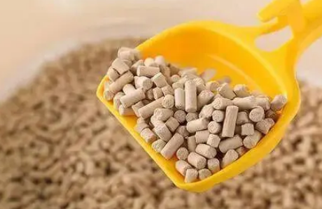 猫砂的选择是个大问题!不同种类的猫砂有什么区别吗 猫砂的选择是个大问题!不同种类的猫砂有什么区别吗