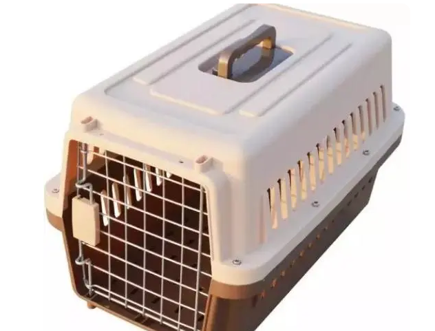 宠物训练多利用航空箱，对你帮助多多