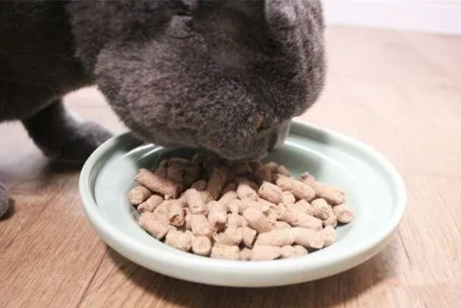 铲屎官科普:幼猫能吃冻干吗? 铲屎官科普:幼猫能吃冻干吗?