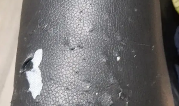 猫咪为什么痴迷于猫抓板 猫咪为什么痴迷于猫抓板