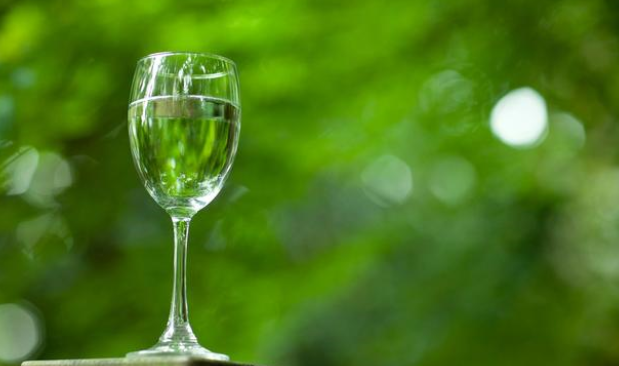 自制超简单兔粮