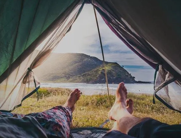 10种使用猫砂的小技巧