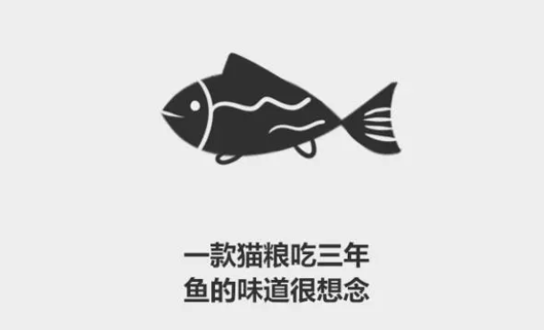 分分钟了解宠物知识——为什么猫会吃猫砂