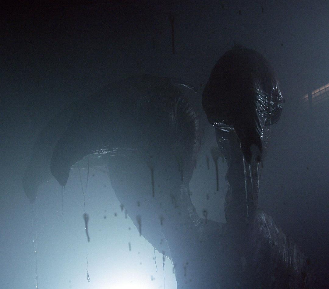 火炬木小组(2009)的剧照 火炬木小组(2009)的剧照