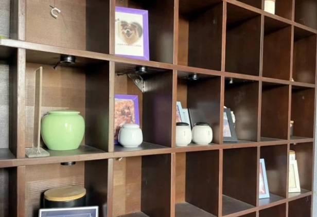 宠物殡葬业悄然兴起:给宠物一次体面的告别 宠物殡葬业悄然兴起:给宠物一次体面的告别