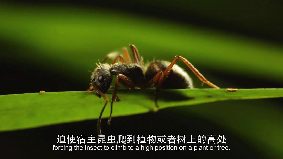 探索科学频道:10种途径将毁灭世界(2016)的剧照 探索科学频道:10种途径将毁灭世界(2016)的剧照