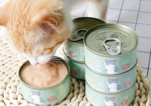猫咪主食罐头和零食罐头性质不同，几天喂一次呢？