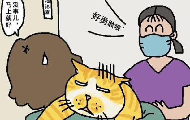 怎样挑选一家靠谱的宠物医院？