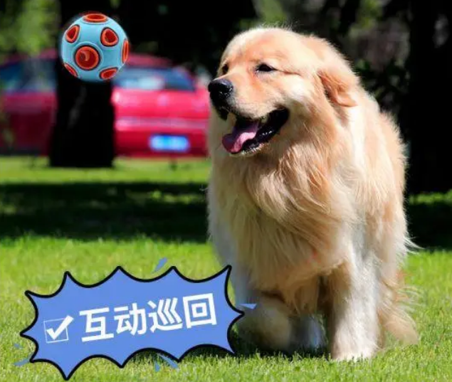2022TOP狗狗玩具球推荐:狗狗玩具球什么材料好? 2022TOP狗狗玩具球推荐:狗狗玩具球什么材料好?
