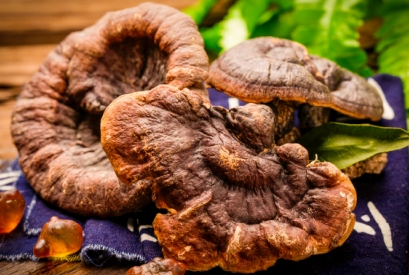 新品上市|C3帕缇朵奇鲜系列火热开市 新品上市|C3帕缇朵奇鲜系列火热开市