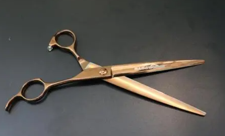 猫干扰素多少钱,猫鼻支干扰素有耐药性吗? 猫干扰素多少钱,猫鼻支干扰素有耐药性吗?