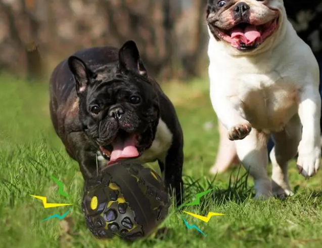 你真的会选宠物玩具吗?宠物玩具产品展示之“狗狗玩具” 你真的会选宠物玩具吗?宠物玩具产品展示之“狗狗玩具”