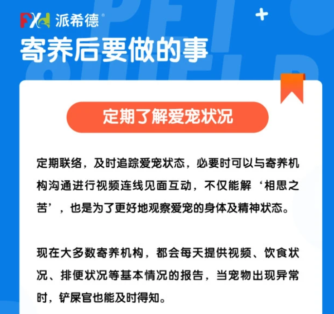 宠物寄养没那么简单！七大注意事项收好