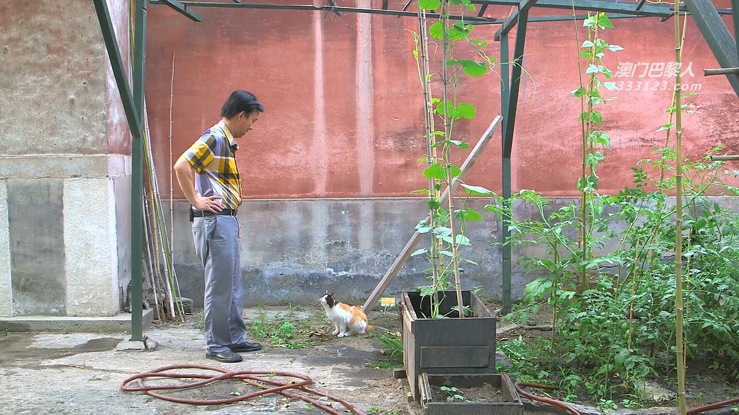 我在故宫修文物
(2016)的剧照 我在故宫修文物
(2016)的剧照