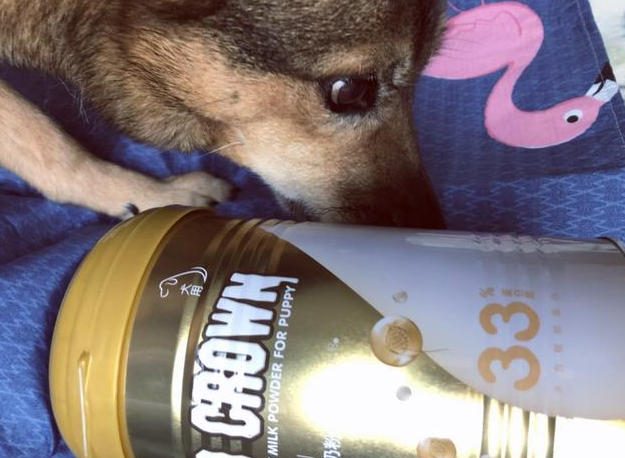 金冠助幼宠健康度过哺乳期 