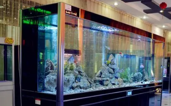 硝化细菌用了这么多年,你真的了解它吗? 硝化细菌用了这么多年,你真的了解它吗?