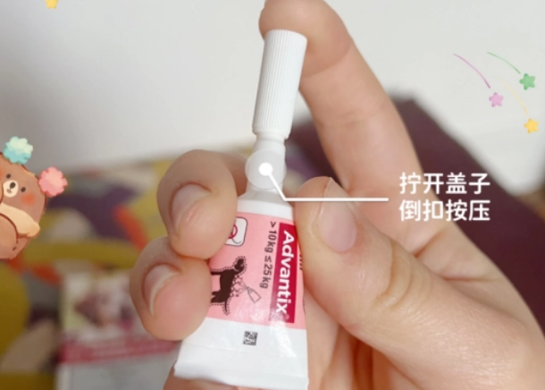 拜宠爽：请收下这份攻略，狗狗体外驱虫用什么