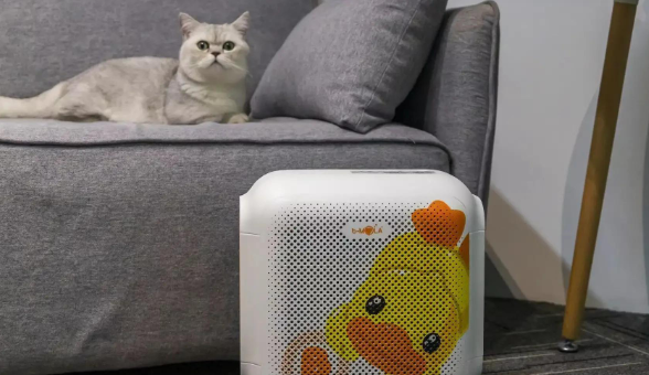 养宠家庭不得不知的消毒常识，你还在用这些有害消毒剂吗？