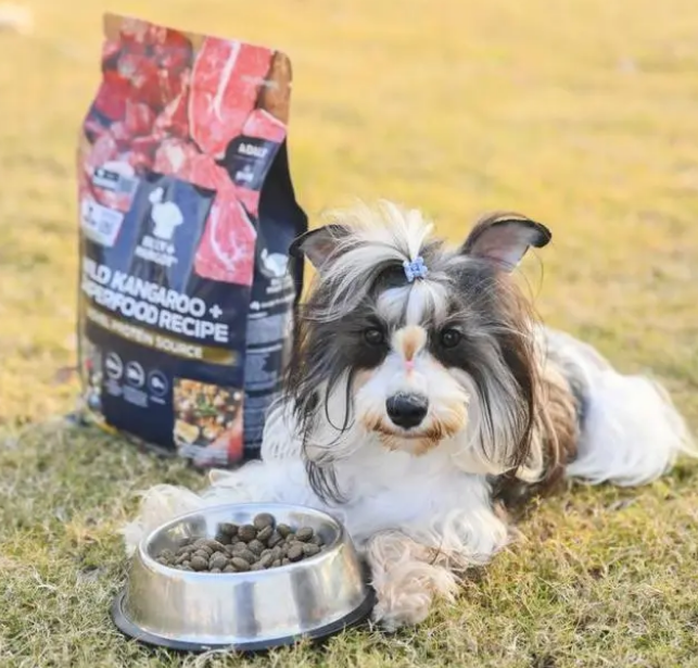 比利玛格原装进口的宠物超级营养，一件配齐