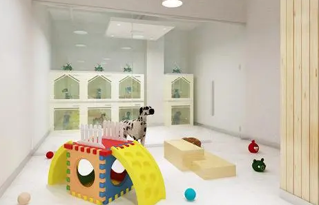 宠物店加盟好还是不加盟好