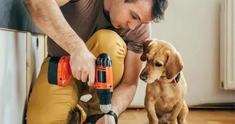 宠物医院怎么经营 宠物医院哪家好