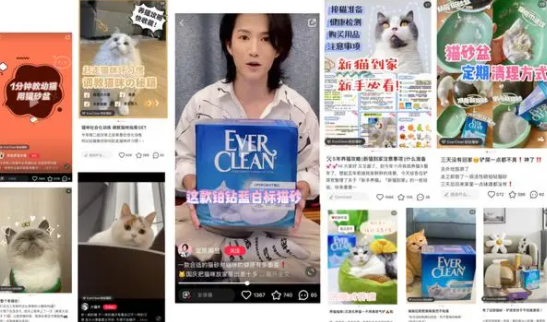 与年轻铲屎官“玩”在一起，铂钻猫砂的趣味化营销品效双赢