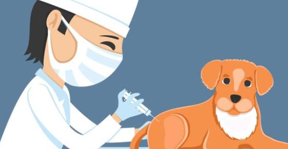 宠物诊所需要什么资质