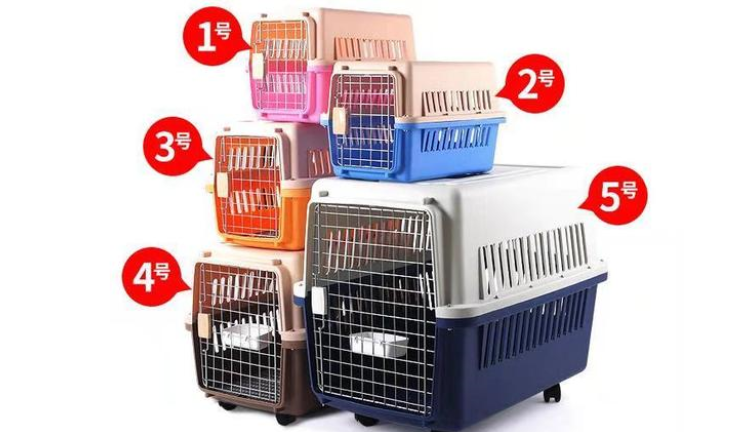 宠物托运公司宠物托运多少钱