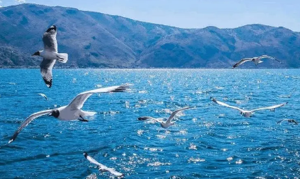 2023年国庆西藏一般多少度3