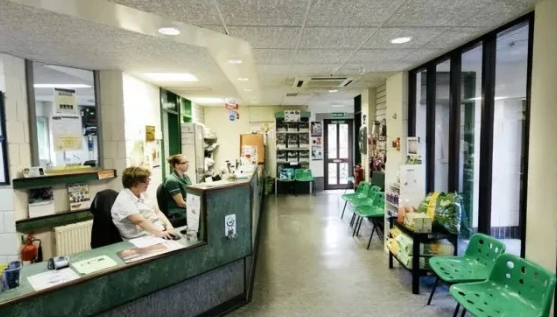 宠物医院怎么经营 宠物医院哪家好